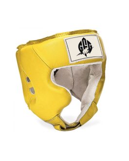 Head Guard