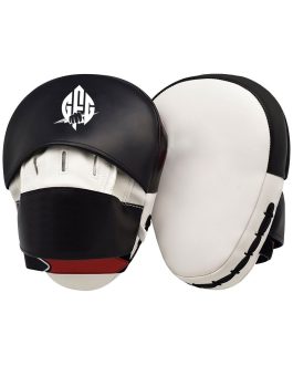 Focus Mitts