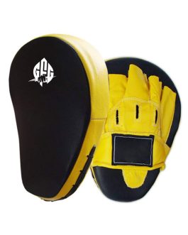 Focus Mitts