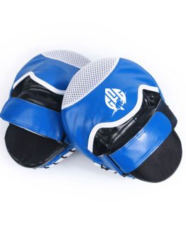Focus Mitts